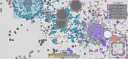Arras.io -merkki